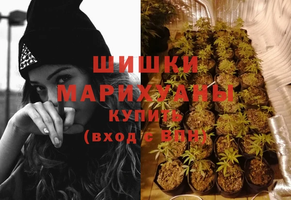 бошки Белокуриха