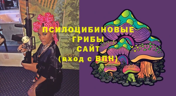 бошки Белокуриха