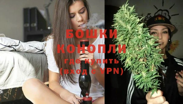 СК Снежногорск