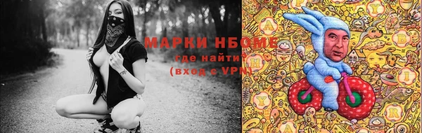 бошки Белокуриха