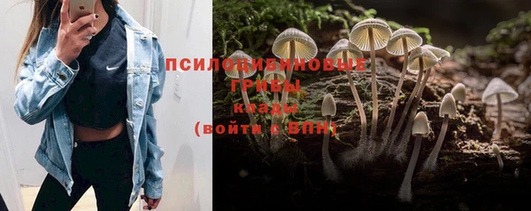 бошки Белокуриха
