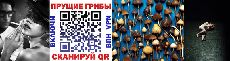 Псилоцибиновые грибы Magic Shrooms Гулькевичи