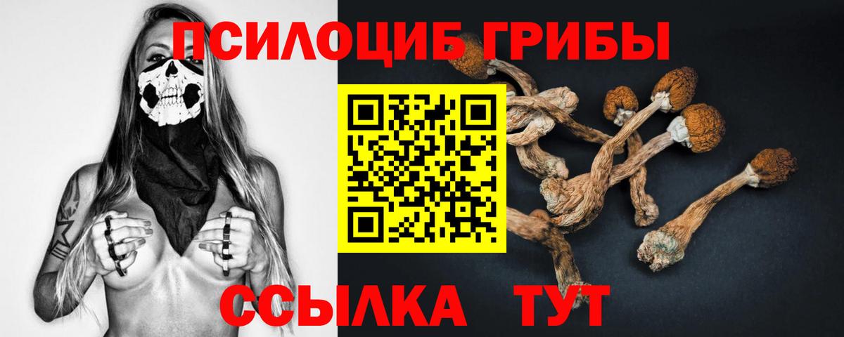 Галлюциногенные грибы Psilocybe Гулькевичи