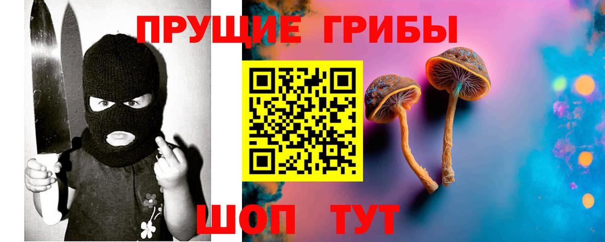 Гулькевичи  Псилоцибиновые грибы Psilocybe  Вход с VPN 